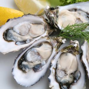 Fresh Oyster (6 pieces) 